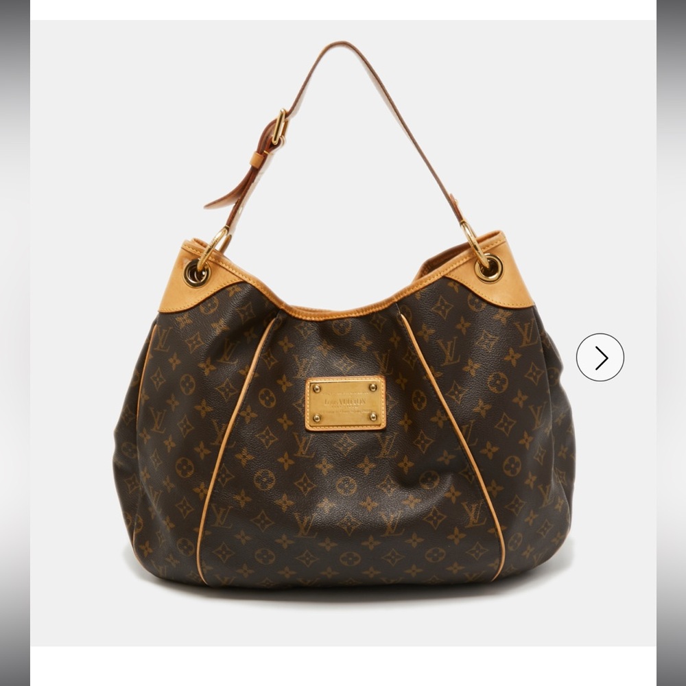 Louis Vuitton Monogram Canvas Bag
